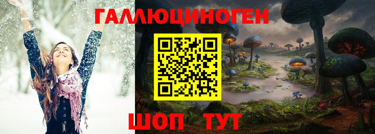 Галлюциногенные грибы Cubensis  Вход с VPN  Шатура 