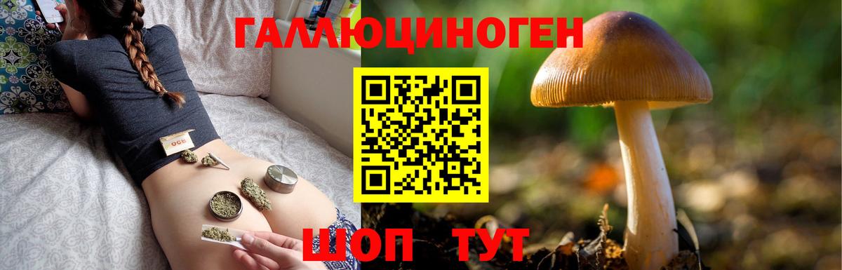 Галлюциногенные грибы прущие грибы Шатура