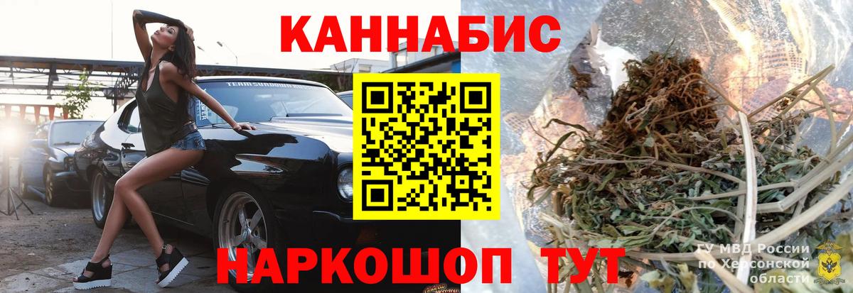 Каннабис сатива Шатура